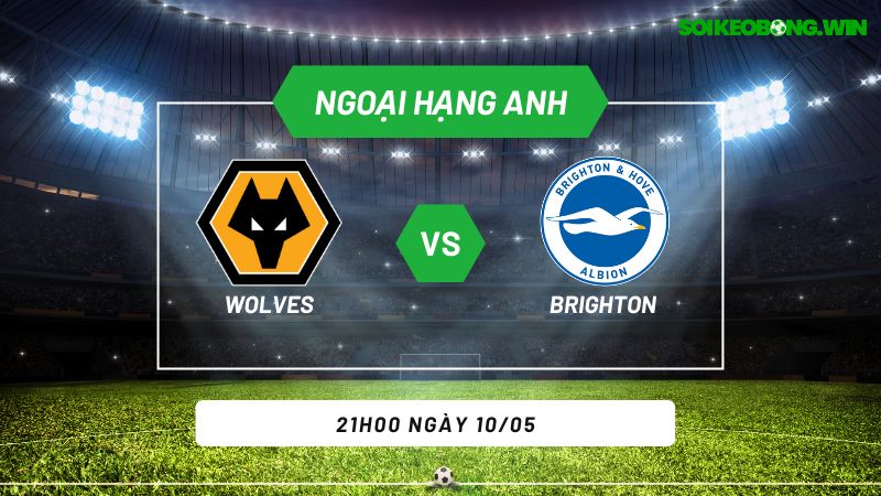 Soi kèo bóng đá Wolves vs Brighton 21h00 ngày 10/05
