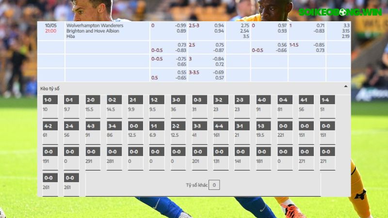 Wolves vs Brighton