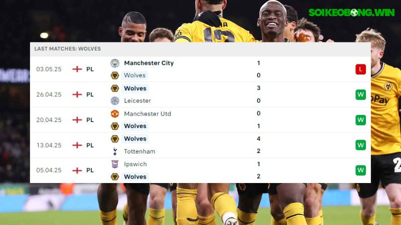 Wolves và Brighton