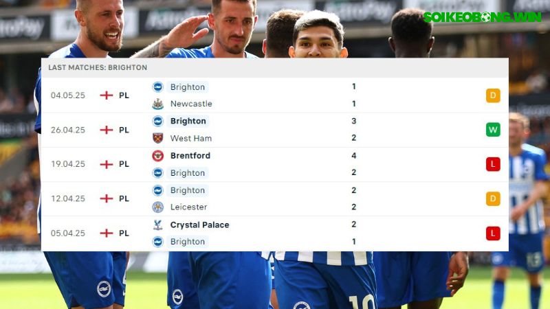 Wolves - Brighton